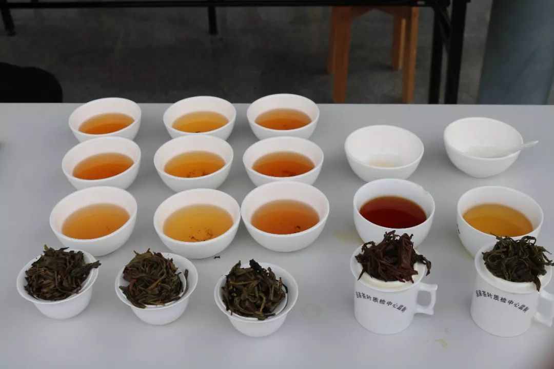 首届广东省评茶员技能大赛圆满落幕，东方国际茶都飘香引才