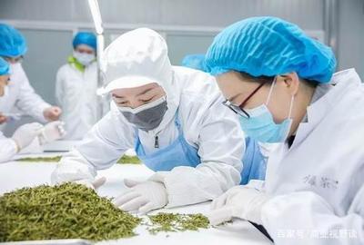匠心成就优良品质 杜国楹的小罐茶获艾问认可