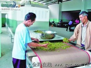 高效节能的微波茶叶烘干机 提升制茶品质的新选择